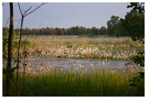 a lake